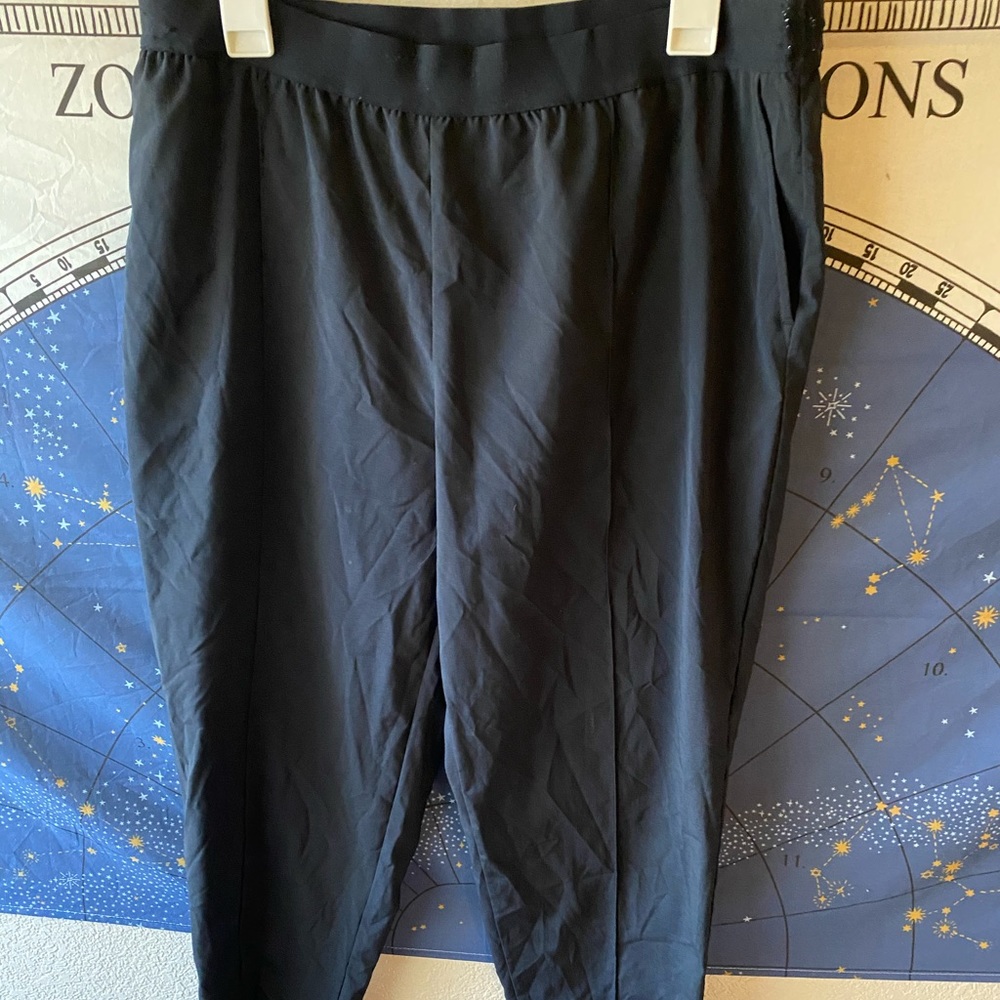 3/$30 💓 Joy Lab Black Windbreaker Jogger